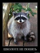 Прикрепленное изображение: kqarc5bzu6to.jpg