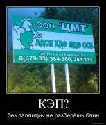 Прикрепленное изображение: ovp74tr3u5h4.jpg