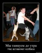 Прикрепленное изображение: tr8hm6jtnanm.jpg