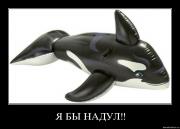 Прикрепленное изображение: uyd38voevl12.jpg