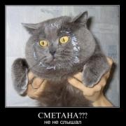 Прикрепленное изображение: demotivator035.jpg