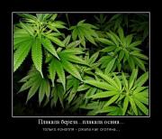 Прикрепленное изображение: 1301276808442.jpg
