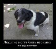 Прикрепленное изображение: kartinki_310_48.jpg