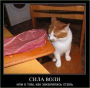 Прикрепленное изображение: kartinki_301_3.jpg