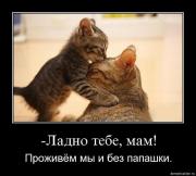 Прикрепленное изображение: mgerbgzn9j51.jpg