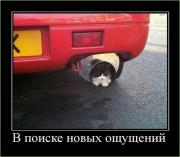 Прикрепленное изображение: kartinki_362_34.jpg