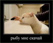 Прикрепленное изображение: kartinki_355_6.jpg