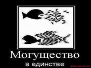 Прикрепленное изображение: Demotovator_1_11.jpg