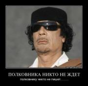 Прикрепленное изображение: zi45u8mztm7x.jpg