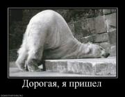 Прикрепленное изображение: 1288366509_demotivator_32.jpg