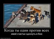Прикрепленное изображение: 1287246528_demotivators_05.jpg