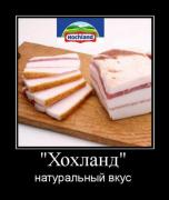 Прикрепленное изображение: 1281287034_demotive_17.jpg