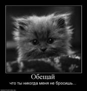 Прикрепленное изображение: x_26855d74.jpg
