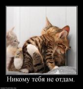Прикрепленное изображение: x_35049caa.jpg