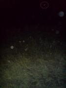 Прикрепленное изображение: DSC00462____.jpg