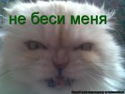Прикрепленное изображение: V_.jpg