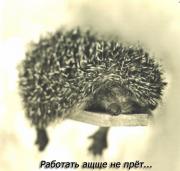 Прикрепленное изображение: 15120155.jpg