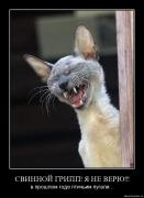 Прикрепленное изображение: pqz0irhxw6wd.jpg