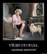 Прикрепленное изображение: vtmv4ewogde6.jpg