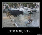 Прикрепленное изображение: esko2h1rlhok.jpg