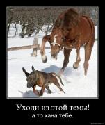 Прикрепленное изображение: 6rifen9vtpuw.jpg