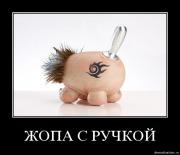 Прикрепленное изображение: pjczywigo68d.jpg