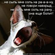 Прикрепленное изображение: Ru.jpg