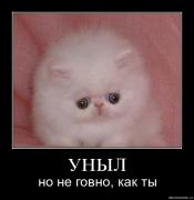 Прикрепленное изображение: umil.jpg