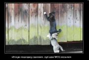 Прикрепленное изображение: a0ea55a47f0e.jpg