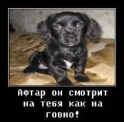 Прикрепленное изображение: 180968_m.jpg