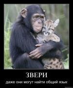 Прикрепленное изображение: s3img_4987759_33461_1.jpg