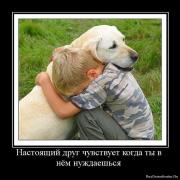 Прикрепленное изображение: 116.jpg