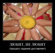 Прикрепленное изображение: _____3_.jpg