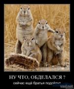 Прикрепленное изображение: 5.jpg