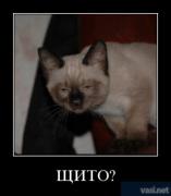 Прикрепленное изображение: 16.jpg