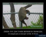 Прикрепленное изображение: 24.jpg