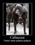 Прикрепленное изображение: s640x640.jpg