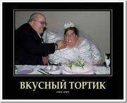 Прикрепленное изображение: tort_thumb.jpg