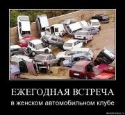 Прикрепленное изображение: tort_thumb.jpg