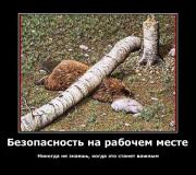 Прикрепленное изображение: 1232952581_demot_1.jpg