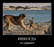 Прикрепленное изображение: efbf0662de2b.jpg