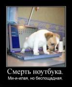 Прикрепленное изображение: demotivatori_22.jpg