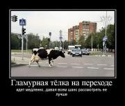 Прикрепленное изображение: demotivatori_118.jpg