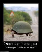 Прикрепленное изображение: 0932e1bc74d220c223f2034b71cb32c0.jpg