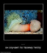 Прикрепленное изображение: 151785_576565.jpg