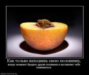 Прикрепленное изображение: 422302_kak_tolko_nahodish_svoyu_polovinku.thumbnail.jpg