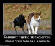 Прикрепленное изображение: 993802_byivayut_takie_znakomstva.jpg