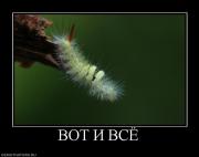 Прикрепленное изображение: 24309_vot_i_vsyo.jpg