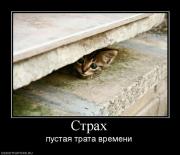 Прикрепленное изображение: 241786_strah.jpg