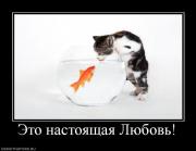 Прикрепленное изображение: 978259_eto_nastoyaschaya_lyubov.jpg